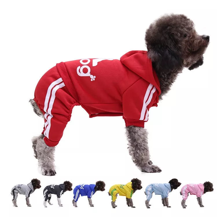 Tracksuit Canino